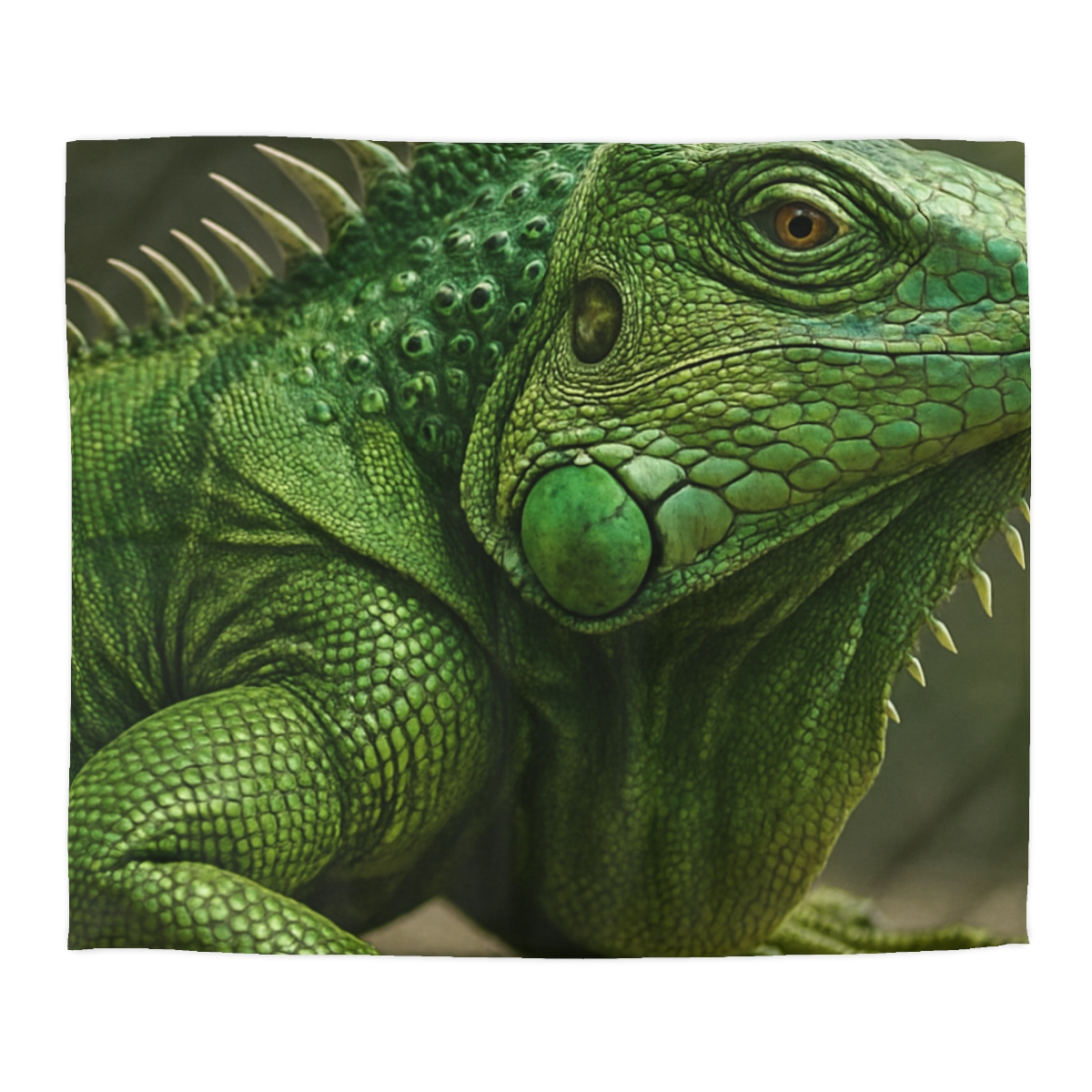 Stone Quiet Green Iguana personalized bedding duvets