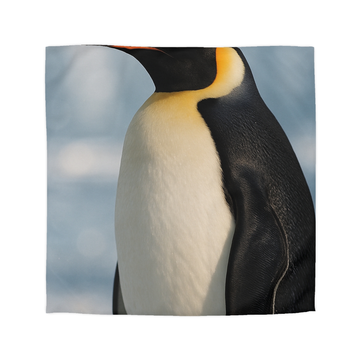 Aurora Drift Emperor Penguin stylish duvet covers