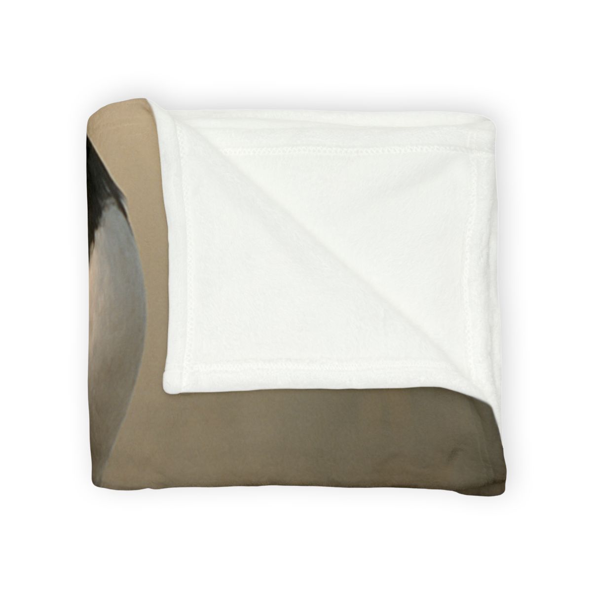 Dawn Balance Red Crowned Crane stylish throw blankets