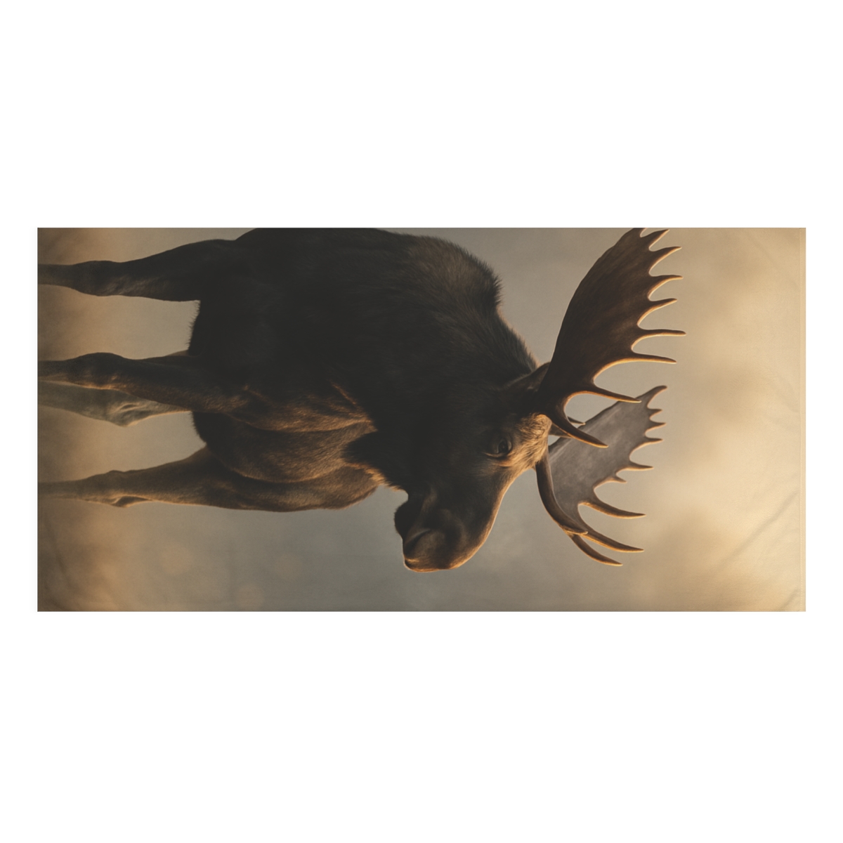 Dawn Hush Moose stylish beach towels