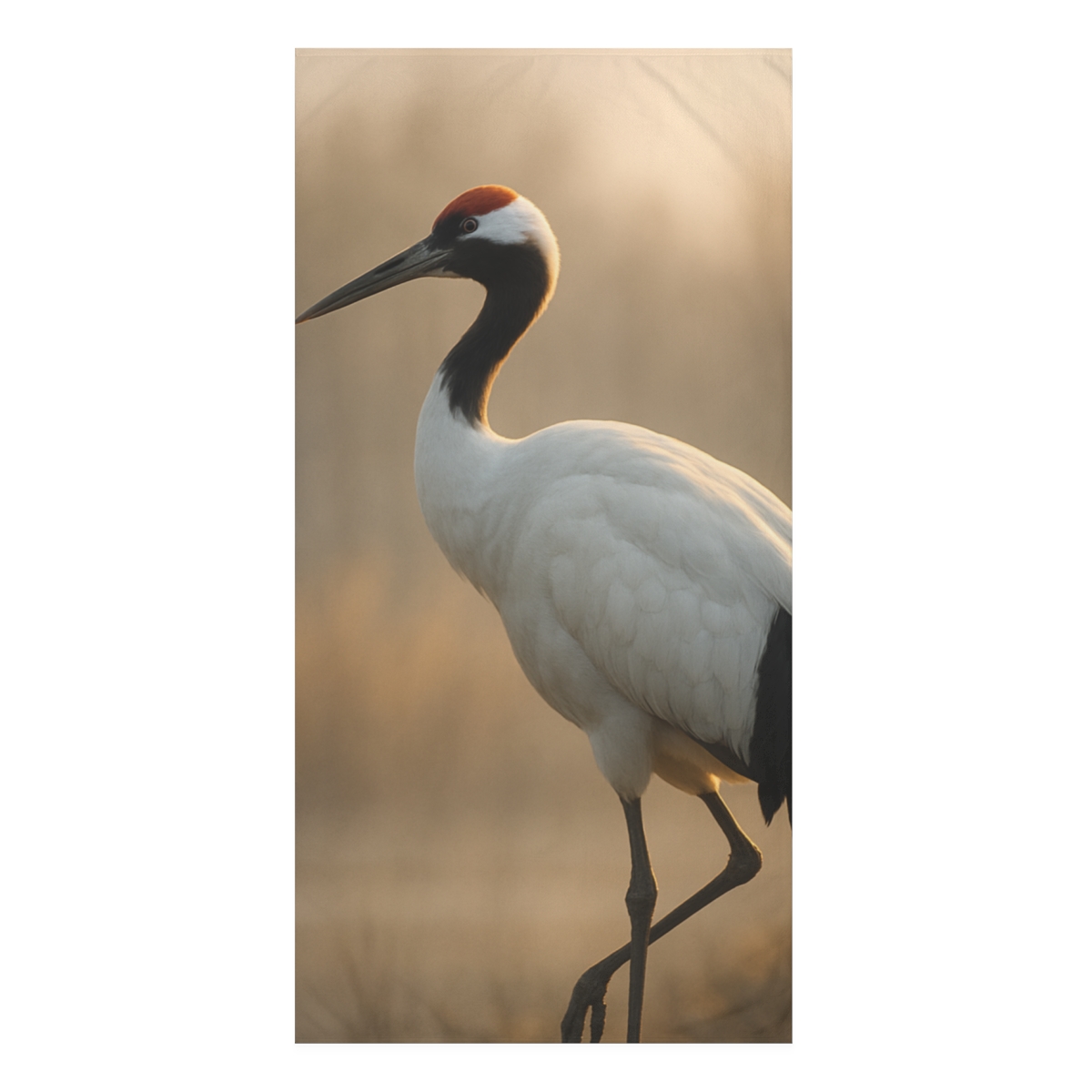 Dawn Hush Red Crowned Crane comfortable face towels