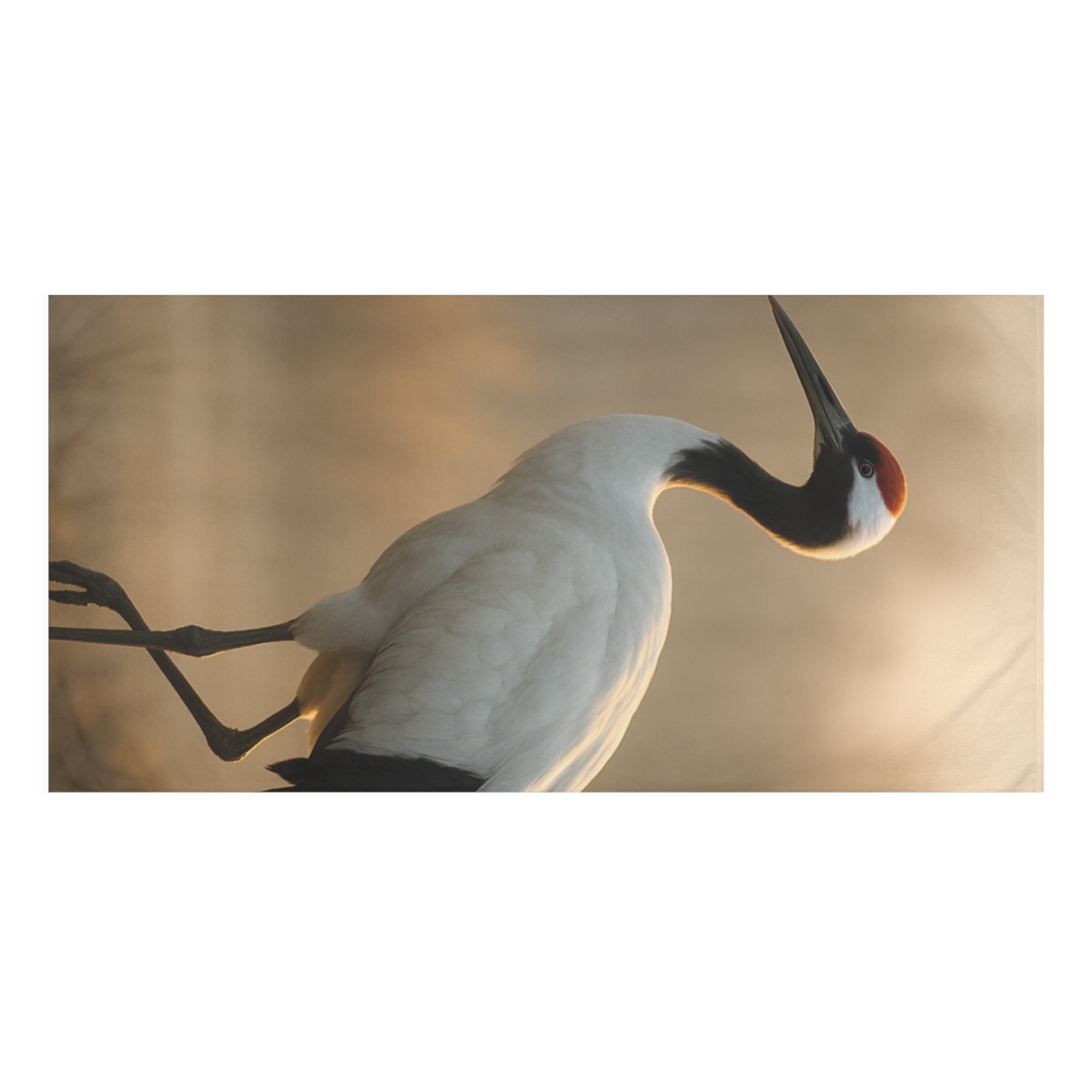 Dawn Hush Red Crowned Crane comfortable face towels