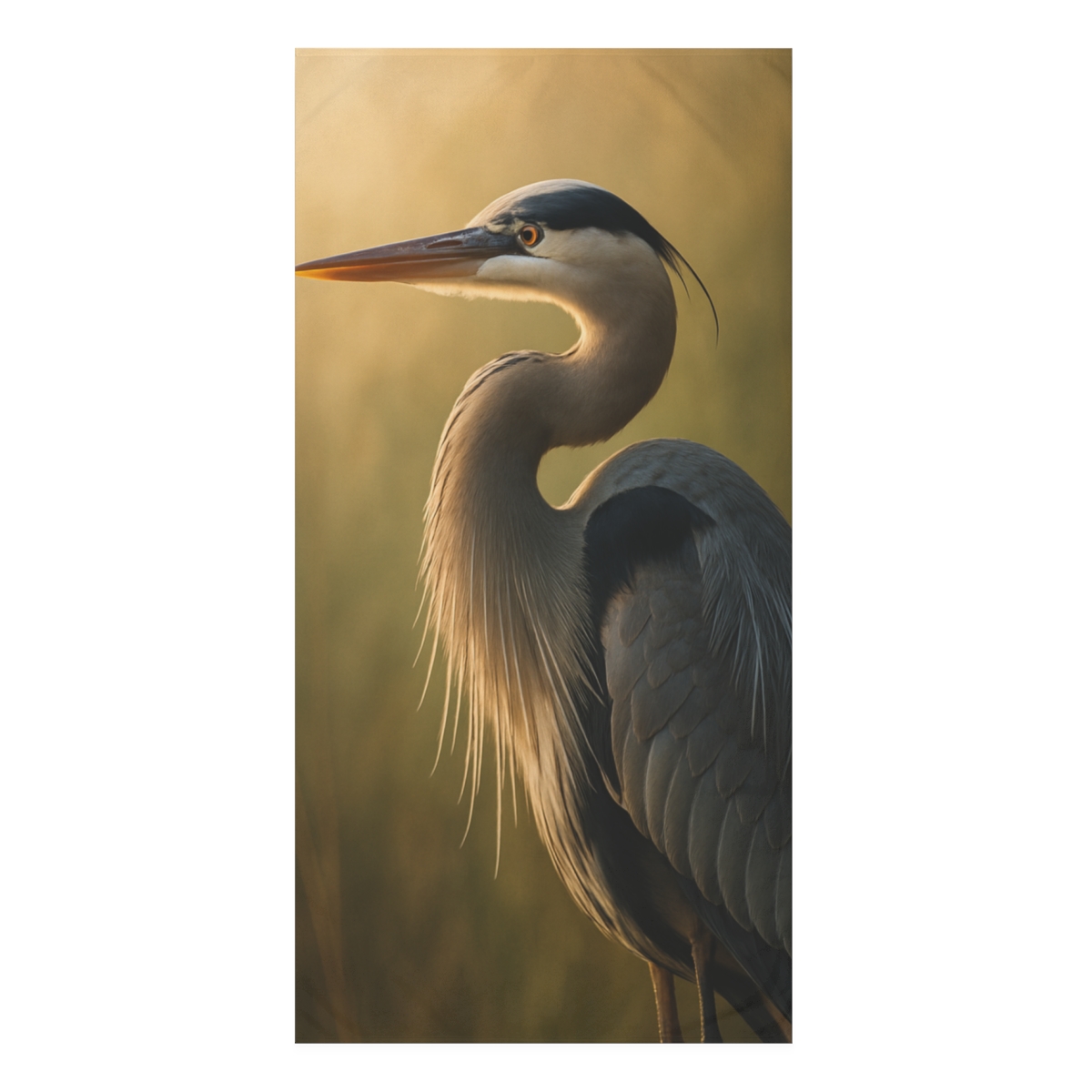 Dawn Poise Great Blue Heron stylish beach towels