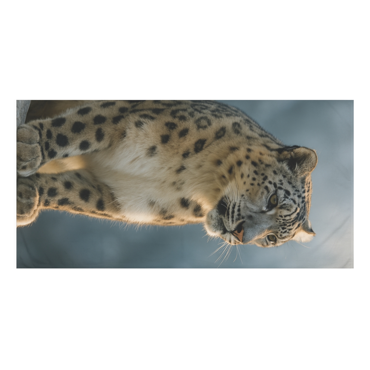 Dawn Sentinel Snow Leopard custom towels