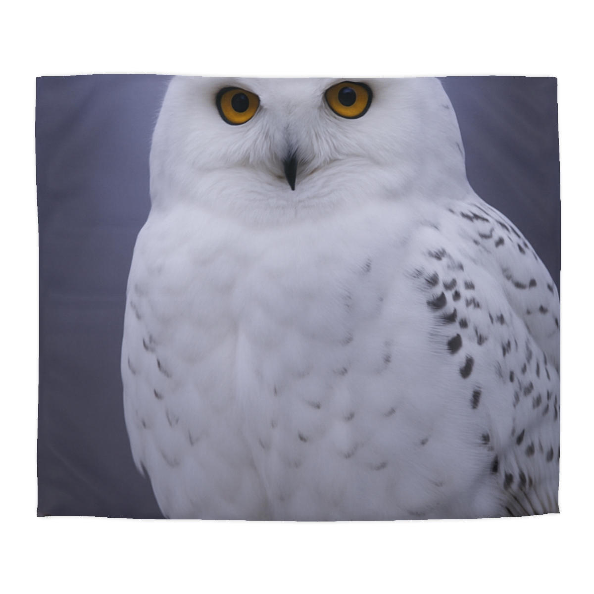 Twilight Watcher Snowy Owl soft comforter duvets