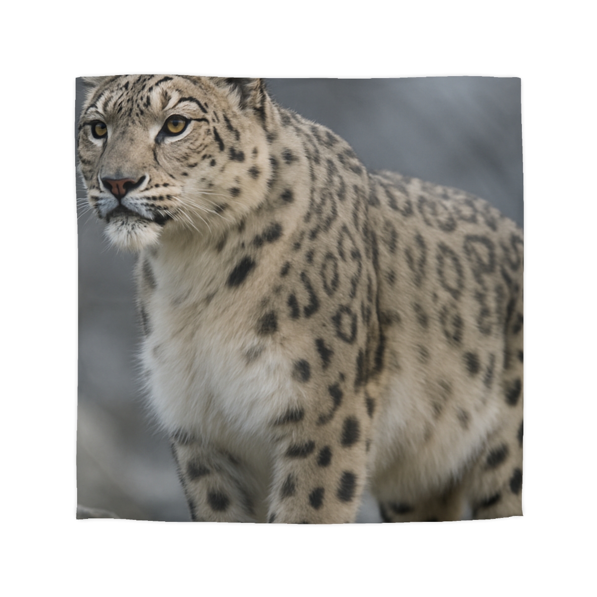 Snow Leopard Silent Summit designer printed duvets
