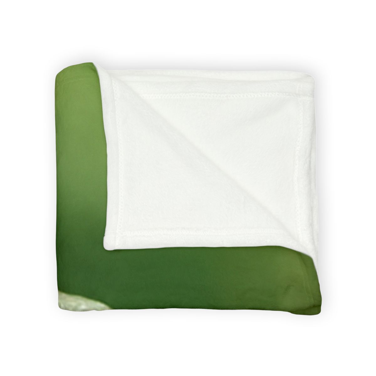 Stone Watcher Green Iguana decorative home blankets