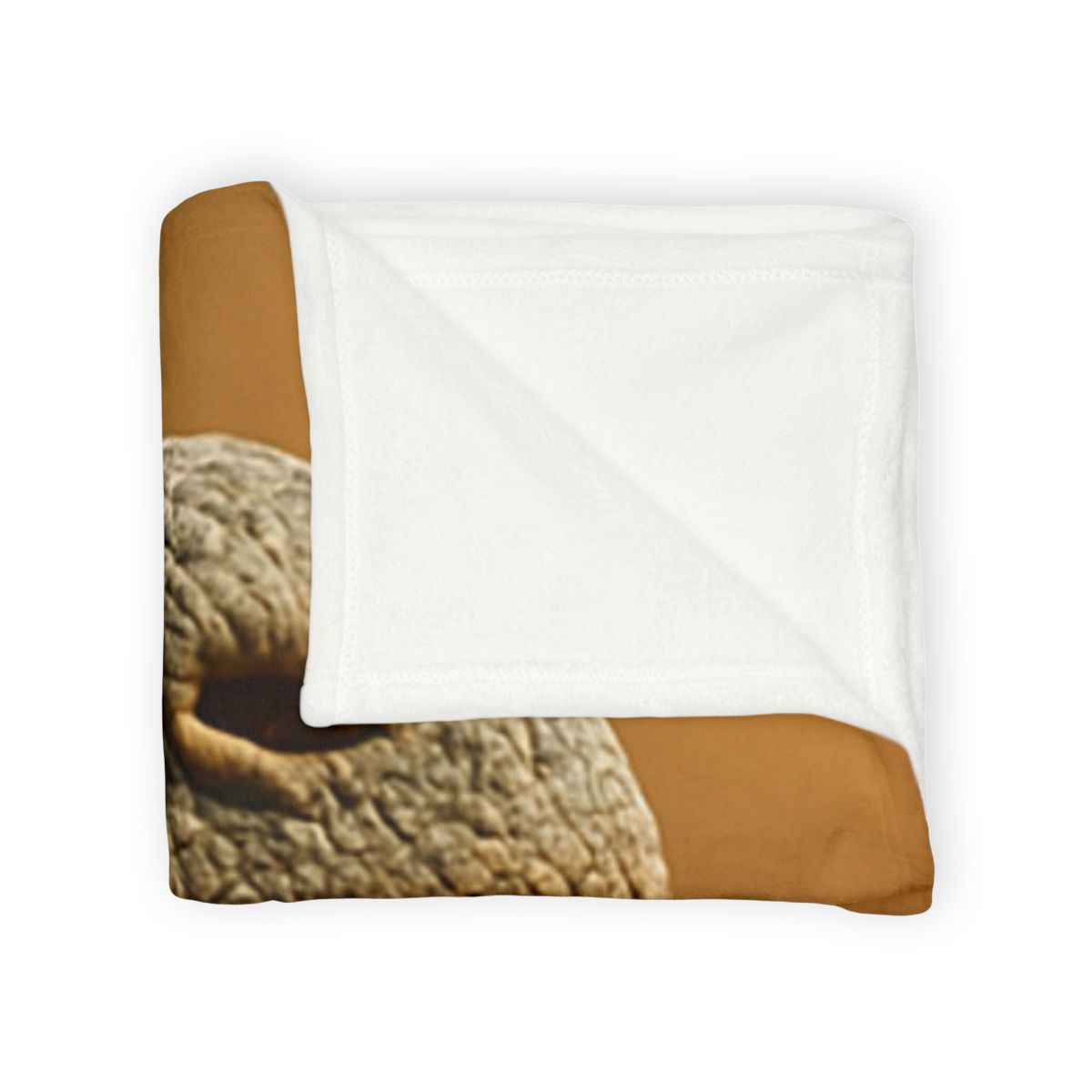 Ancient Sentinel Komodo Dragon stylish throw blankets