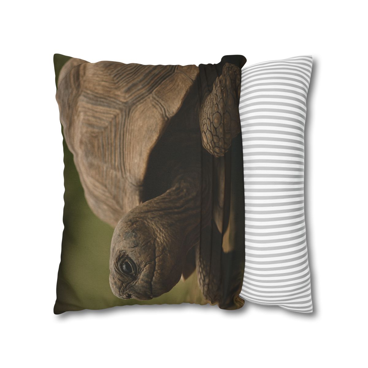 Giant Tortoise Timebound Gaze personalized pillow covers