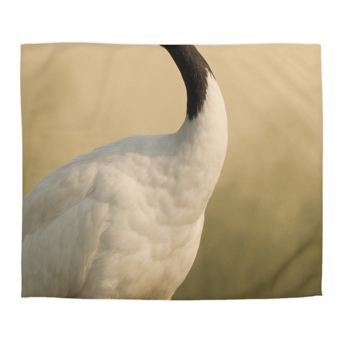 Quiet Halo Red Crowned Crane warm winter duvets