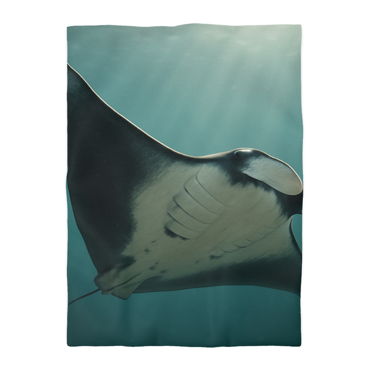 Silent Glide Giant Manta Ray custom duvets