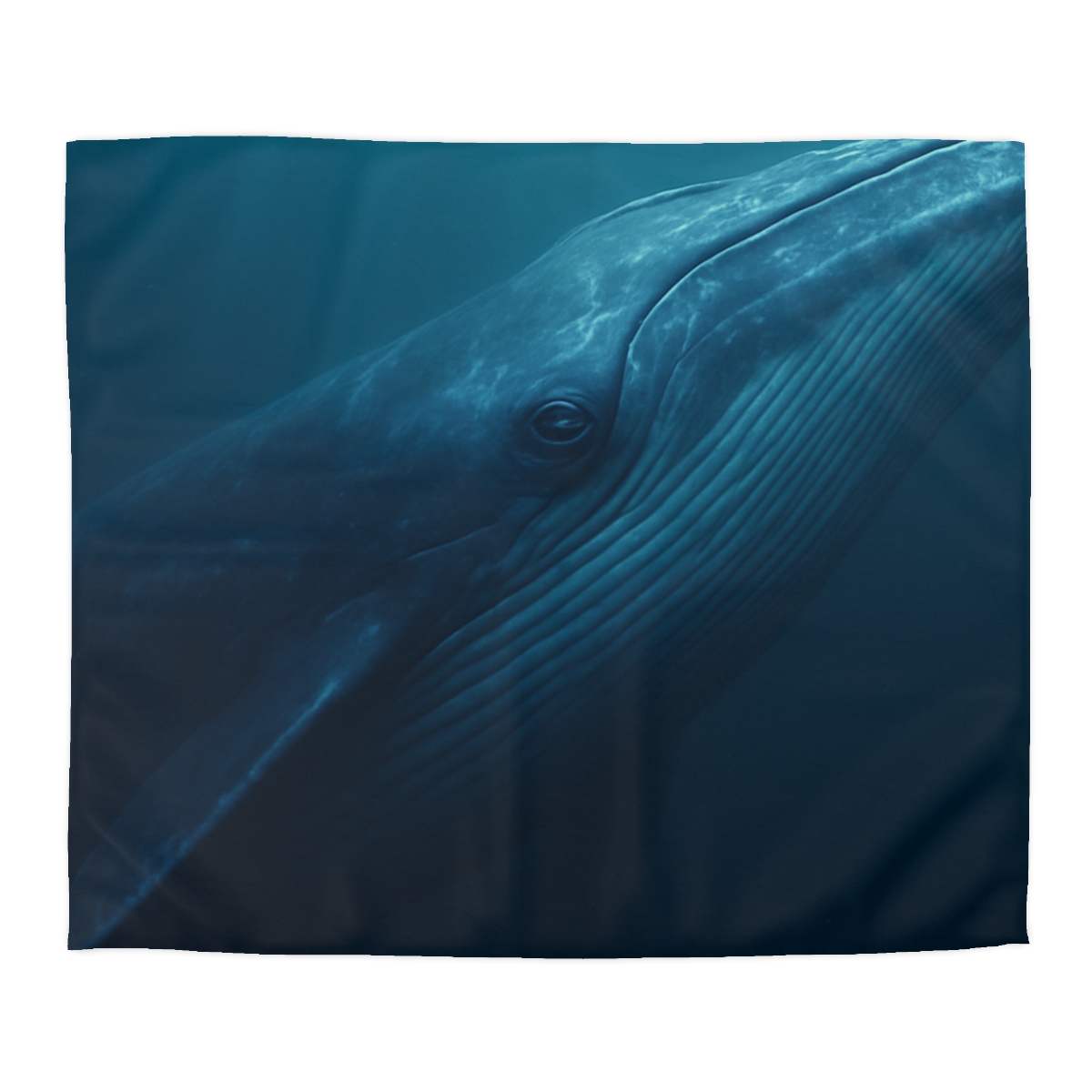 Ocean Giant Blue Whale warm winter duvets