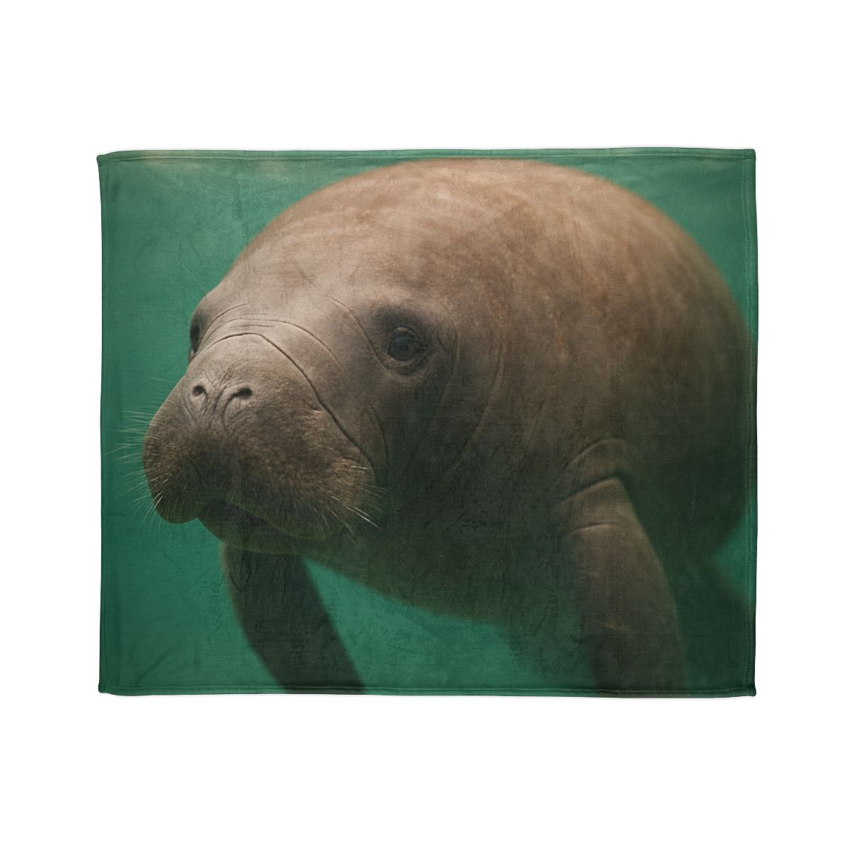 Glasswater Drifter West Indian Manatee stylish throw blankets