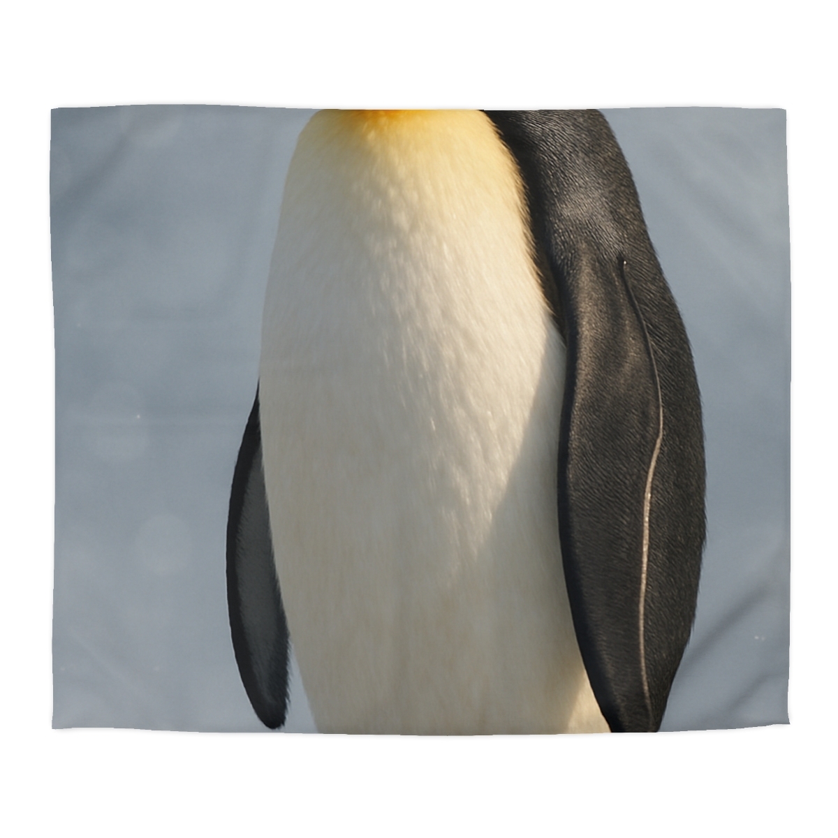 Aurora Poise Emperor Penguin duvets for gifts