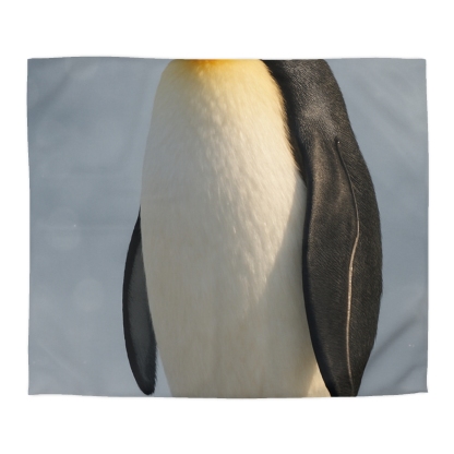 Aurora Poise Emperor Penguin duvets for gifts