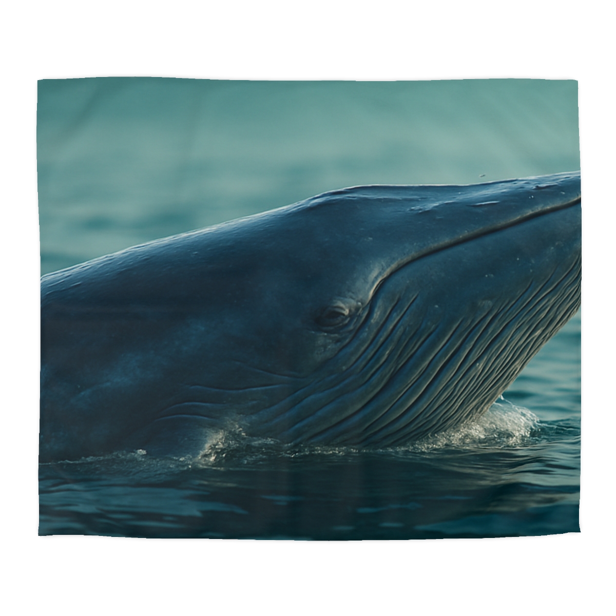 Ocean Song Blue Whale stylish duvet covers