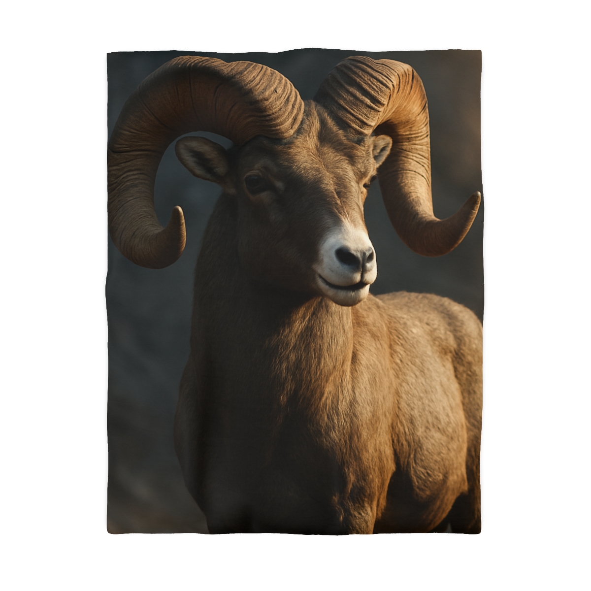 Canyon Shadow Bighorn Sheep duvets for gifts
