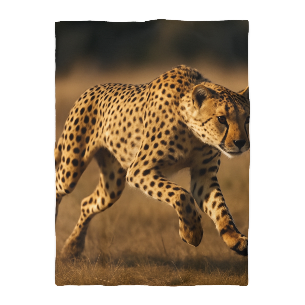Sun Dash Cheetah trendy bedroom duvets