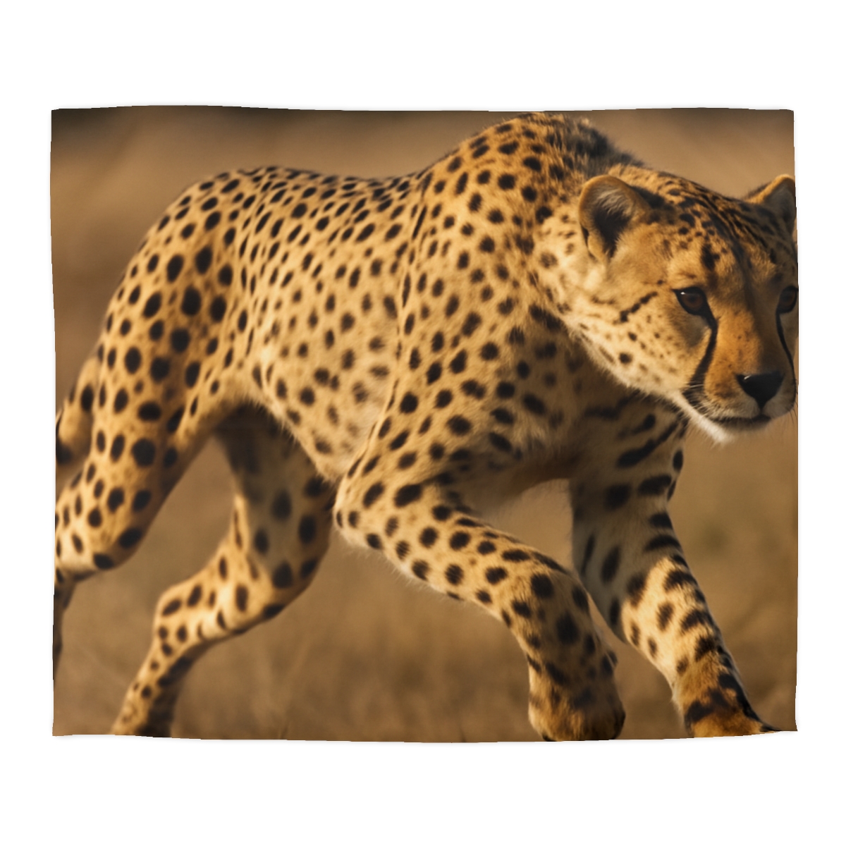 Sun Dash Cheetah trendy bedroom duvets