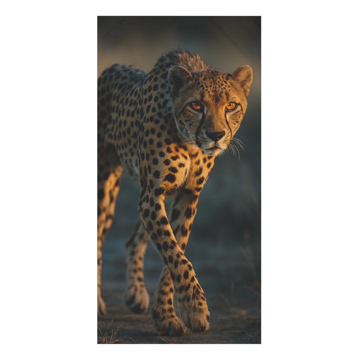 Dusk Sprinter Cheetah decorative home towelscustom towels