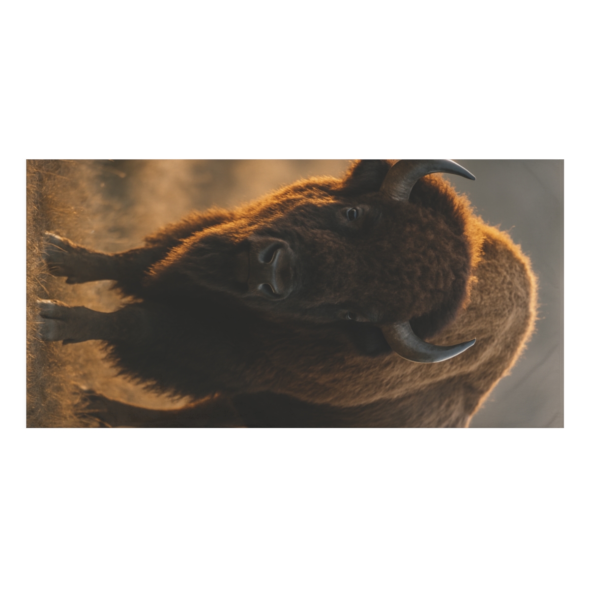 Dusklight Guardian American Bison designer printed towels