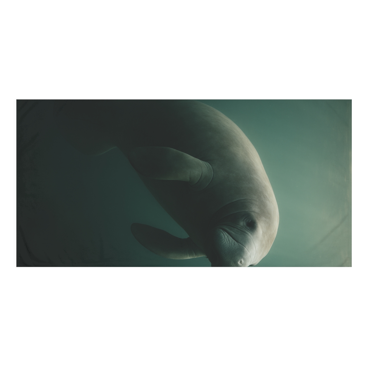 Dusky Drift Manatee trendy hand towels
