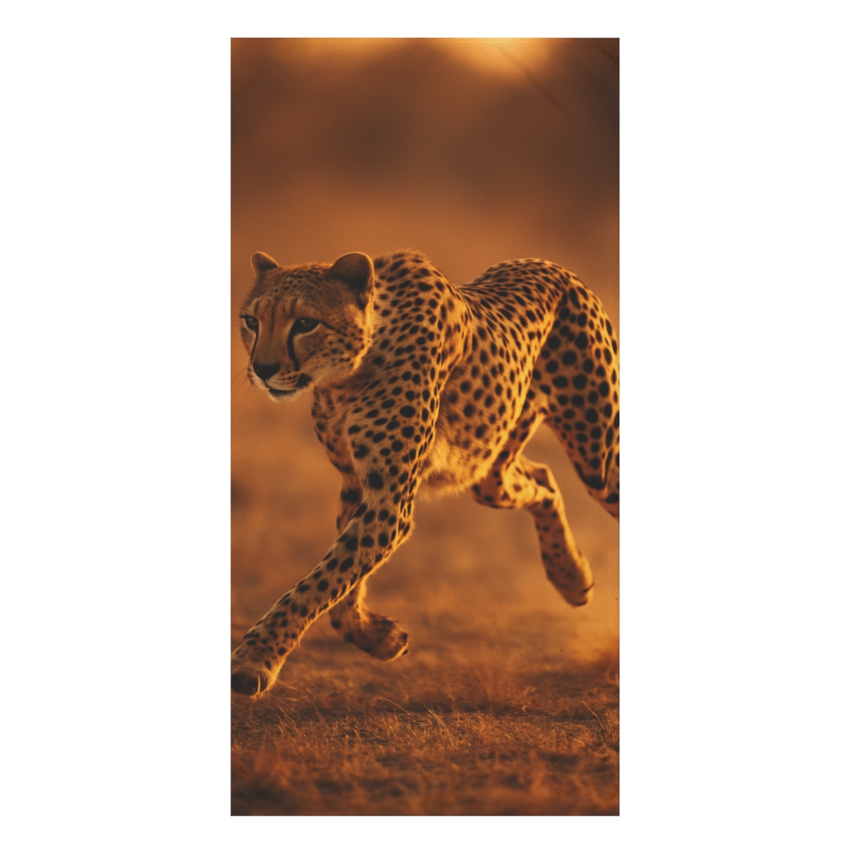 Dusky Prowler Cheetah designer printed towels