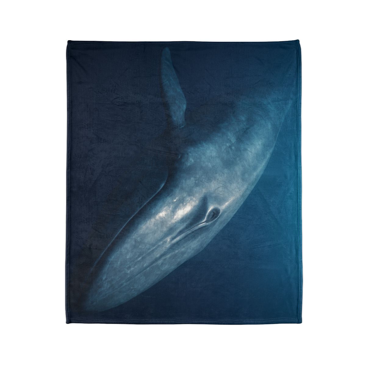 Ocean Song Blue Whale trendy patterned blankets