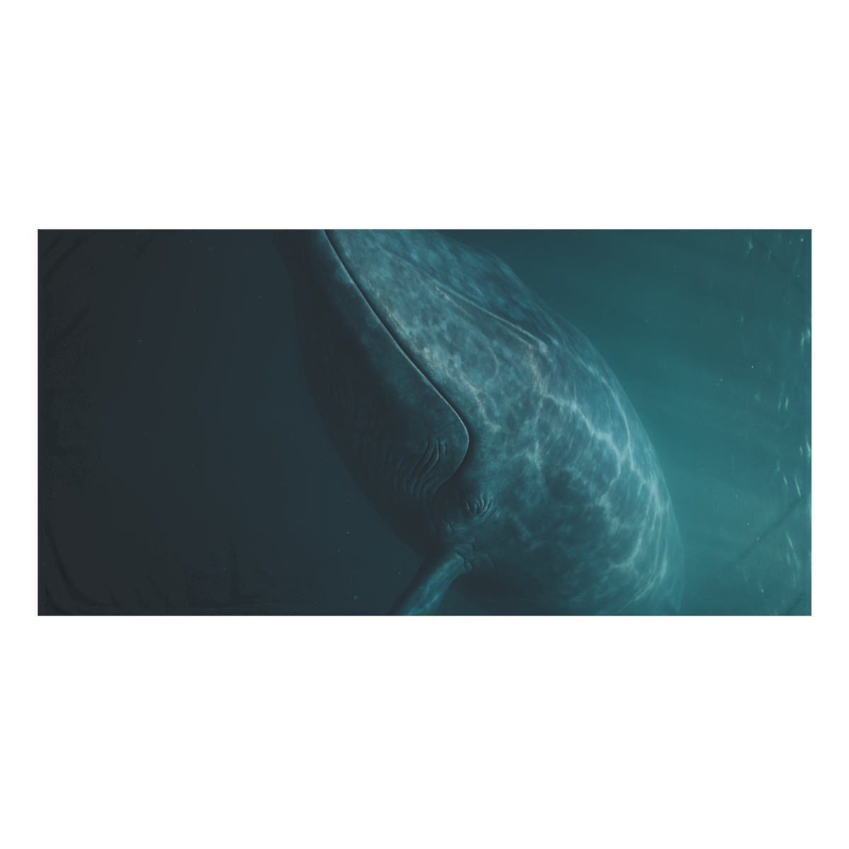 Ocean Song Blue Whale soft cotton towels