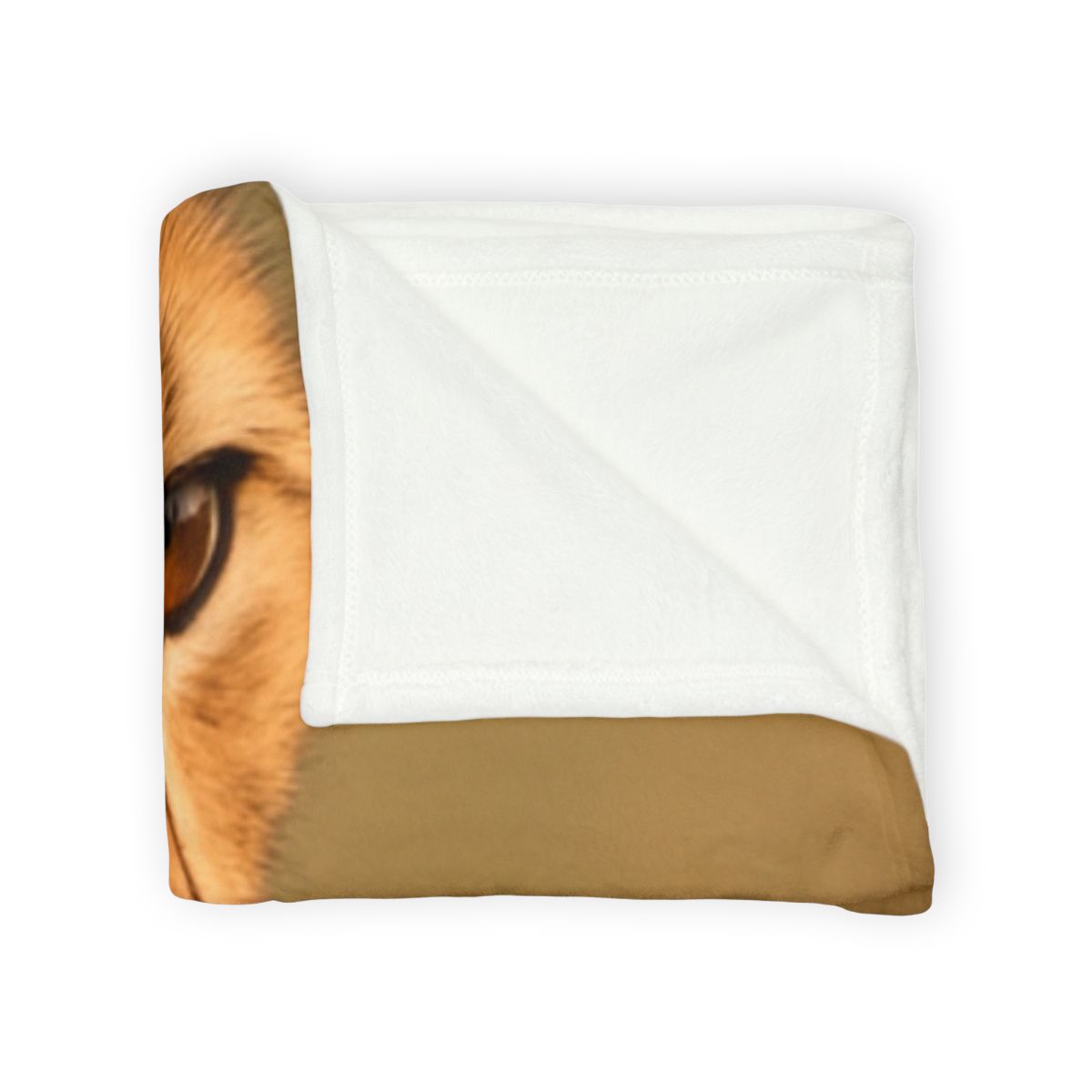 Amber Gaze Cheetah designer printed blankets