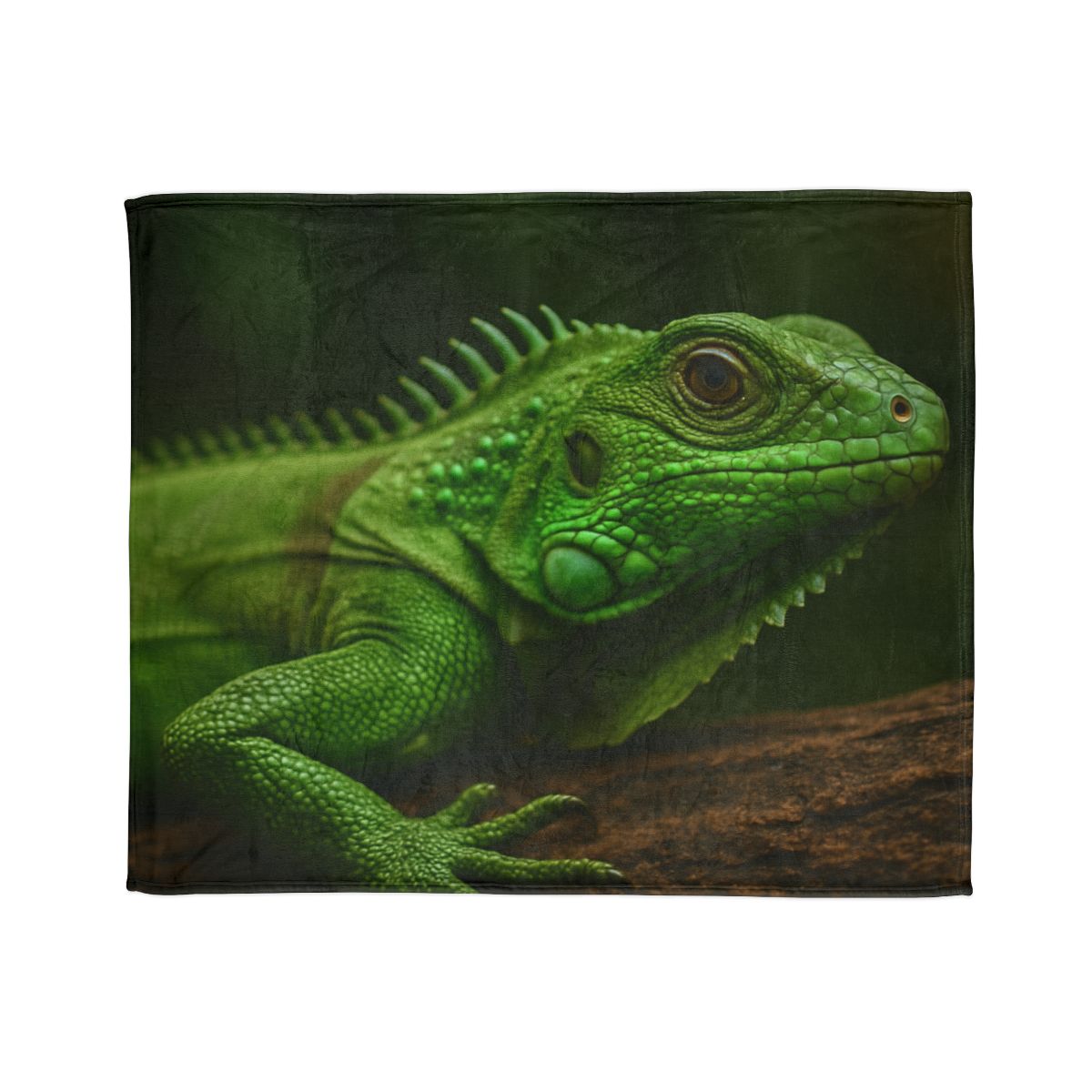Green Iguana Sun Stillness designer printed blankets