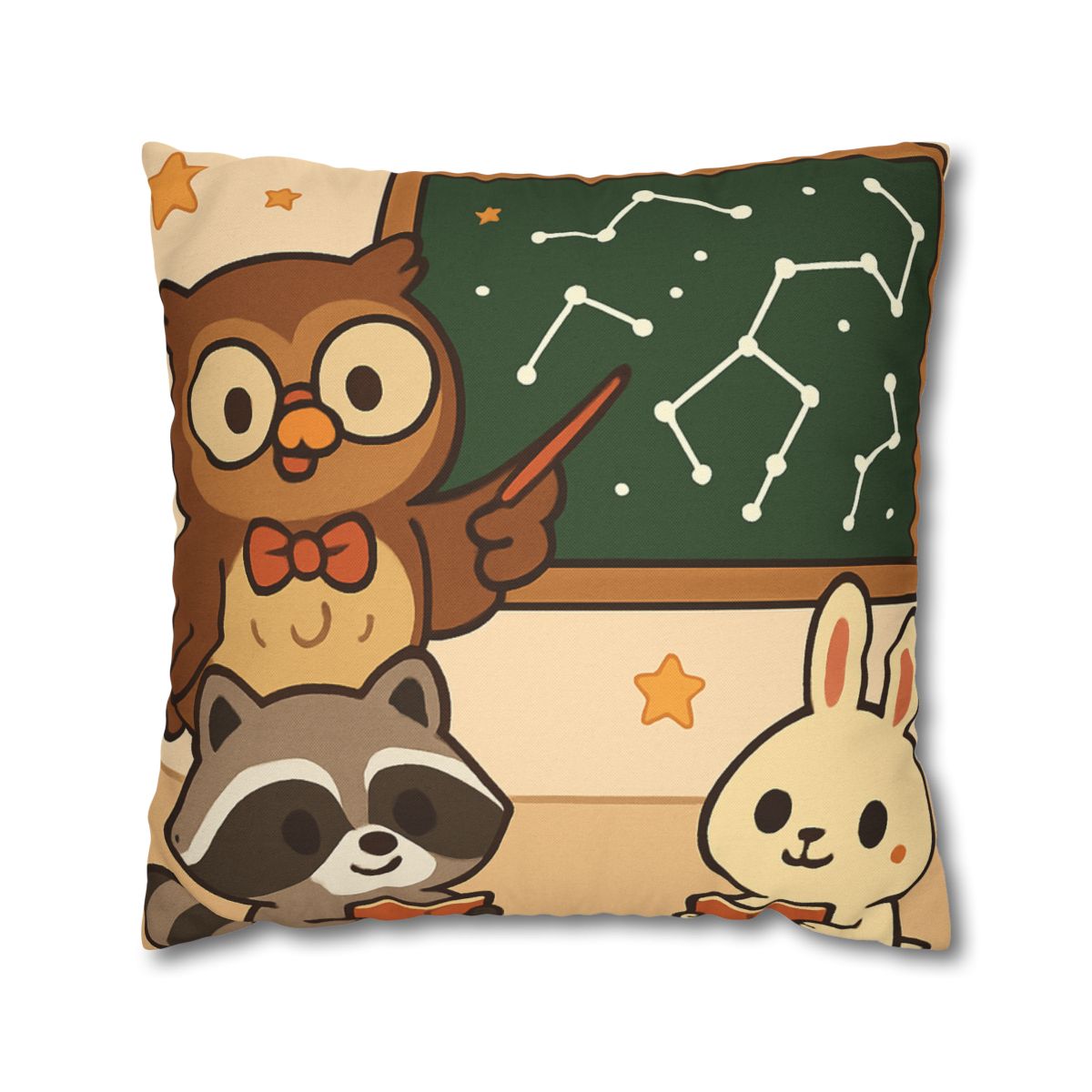 Comet Classroom Owl And The Star Map Chalkboard soft cotton pillow cases