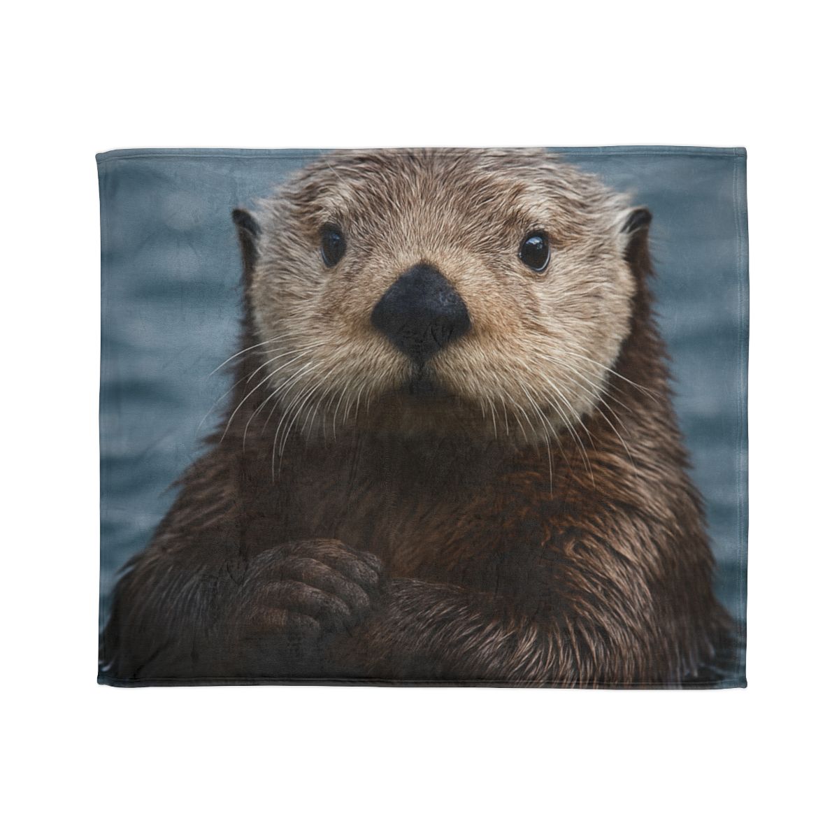 Mirror Drift Sea Otter decorative home blankets