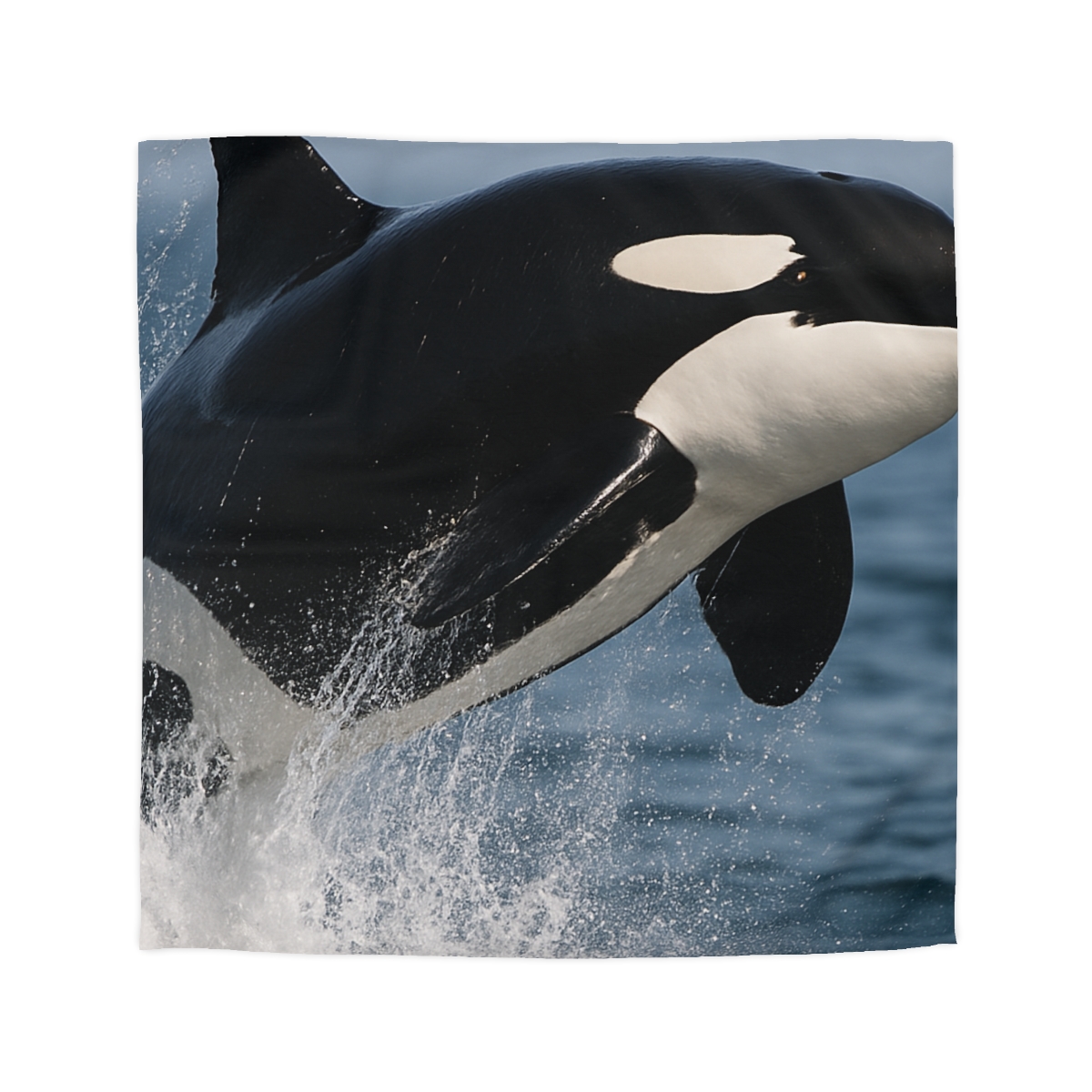 Tidal Monarch Orca duvets for gifts