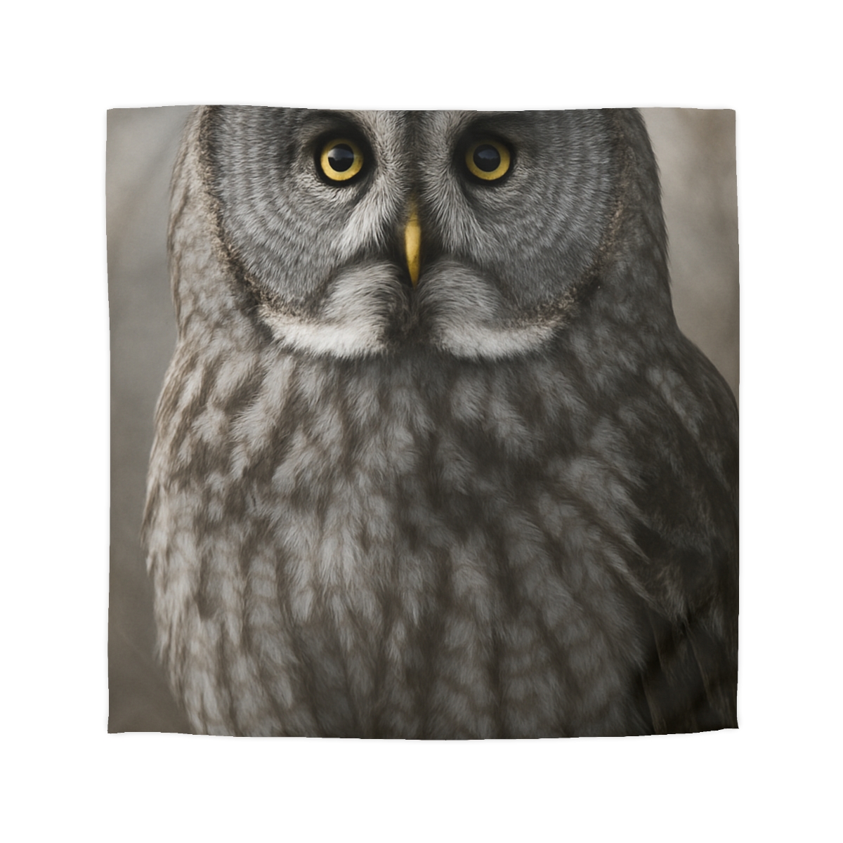 Frost Note Great Gray Owl warm winter duvets