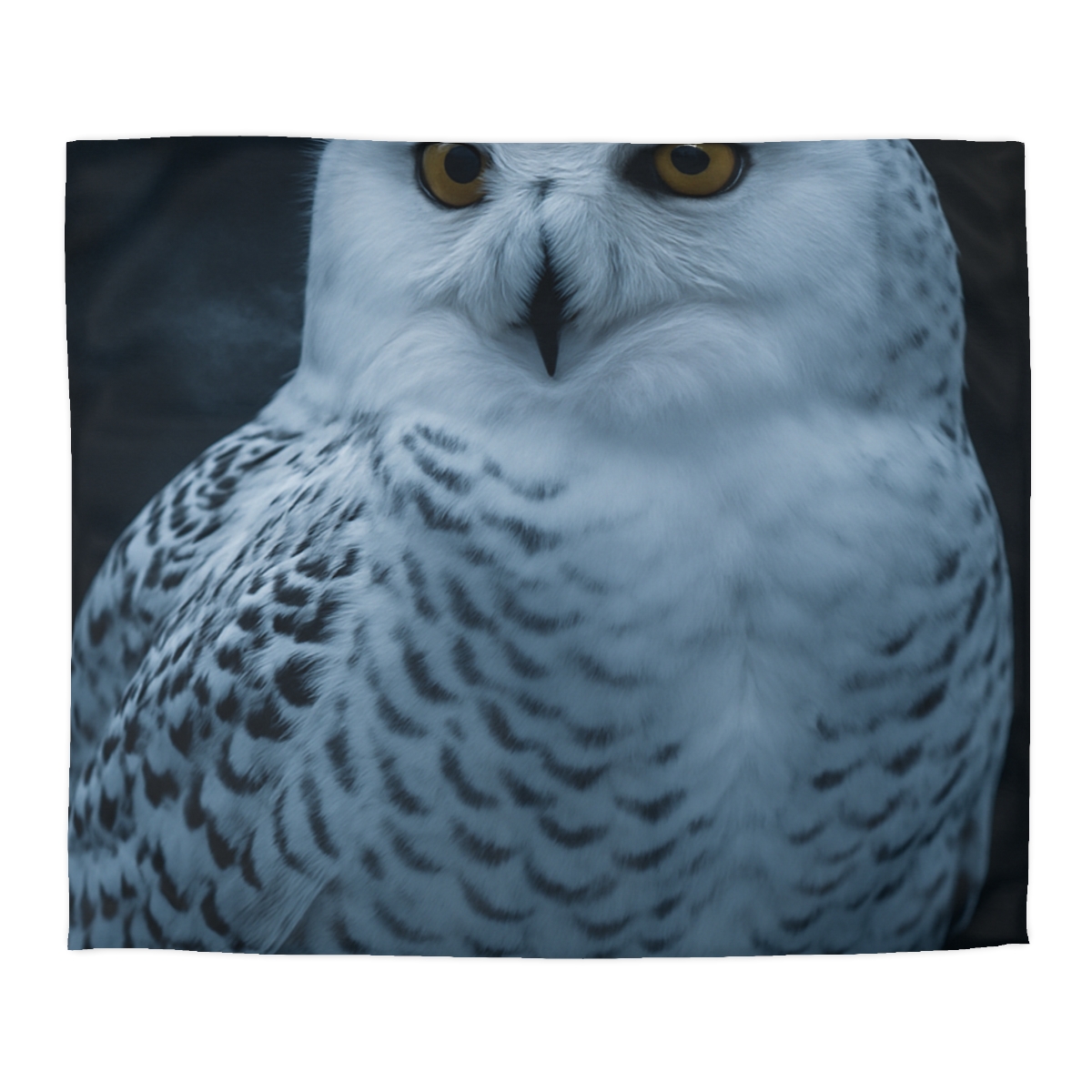 Midnight Watch Snowy Owl unique patterned duvets