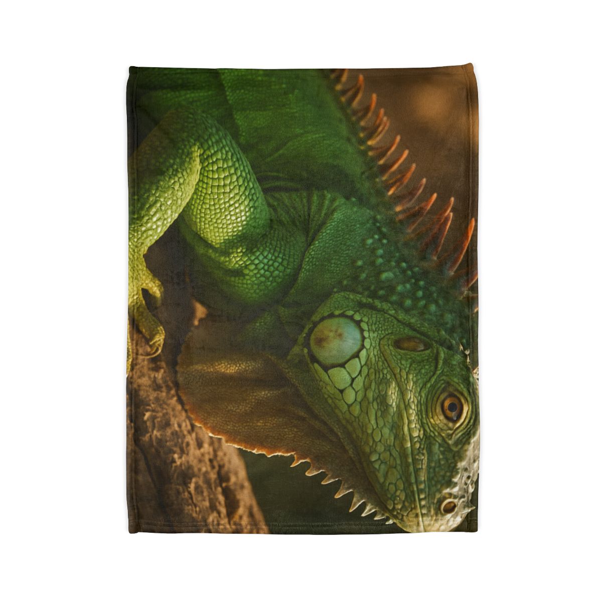 Sunlit Perch Green Iguana warm winter blankets