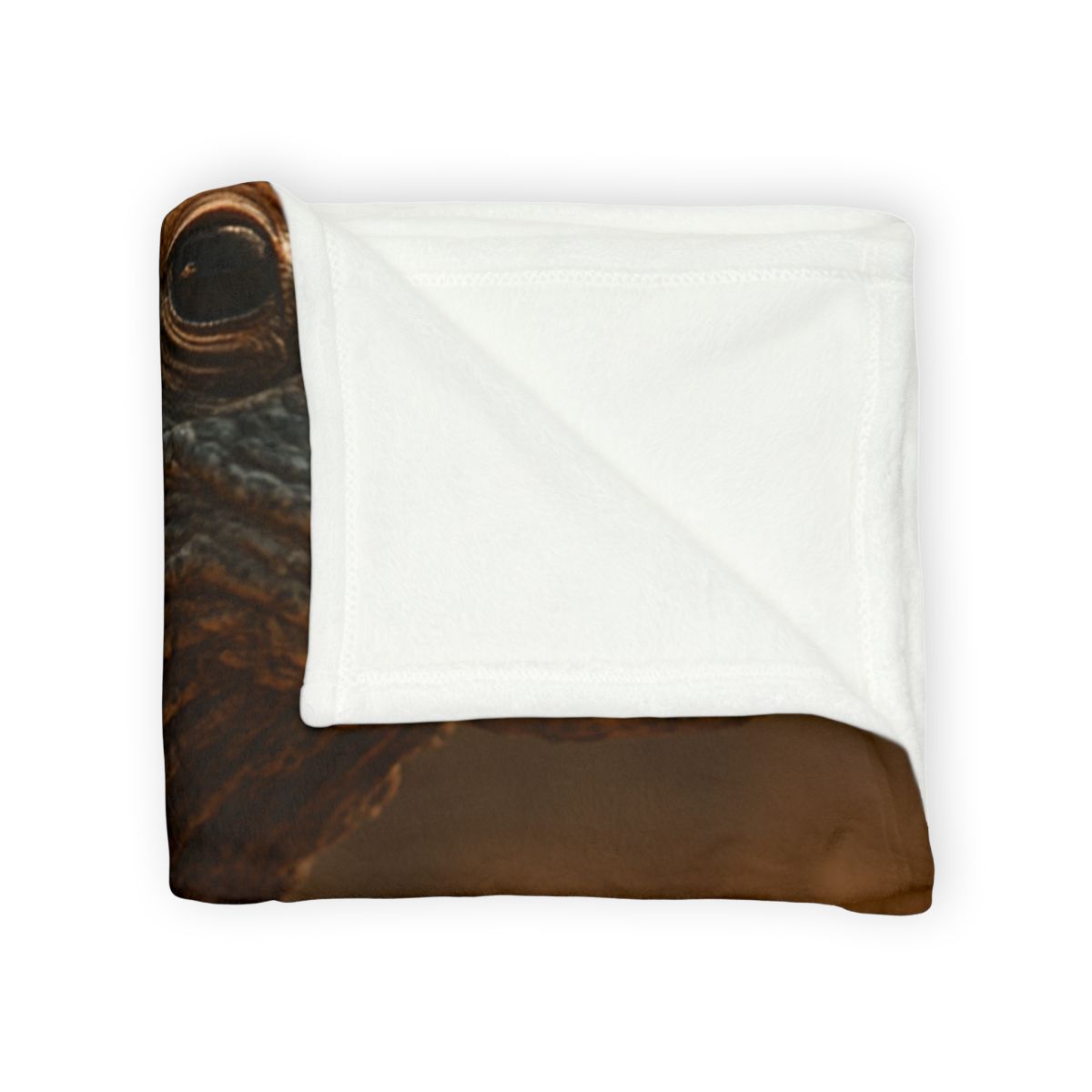 Ancient Sentinel Komodo Dragon soft fleece blankets