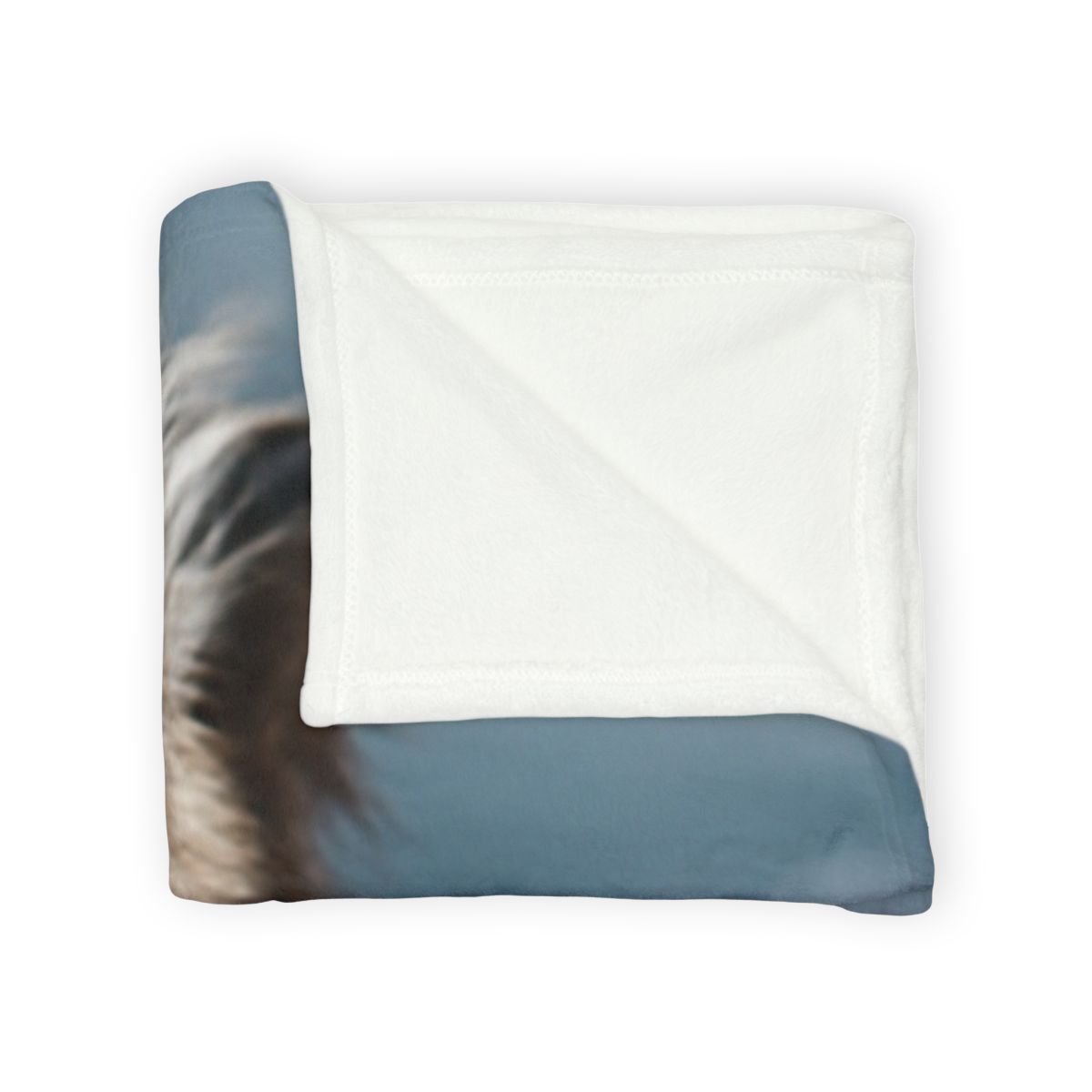 Mirror Drift Sea Otter decorative home blankets