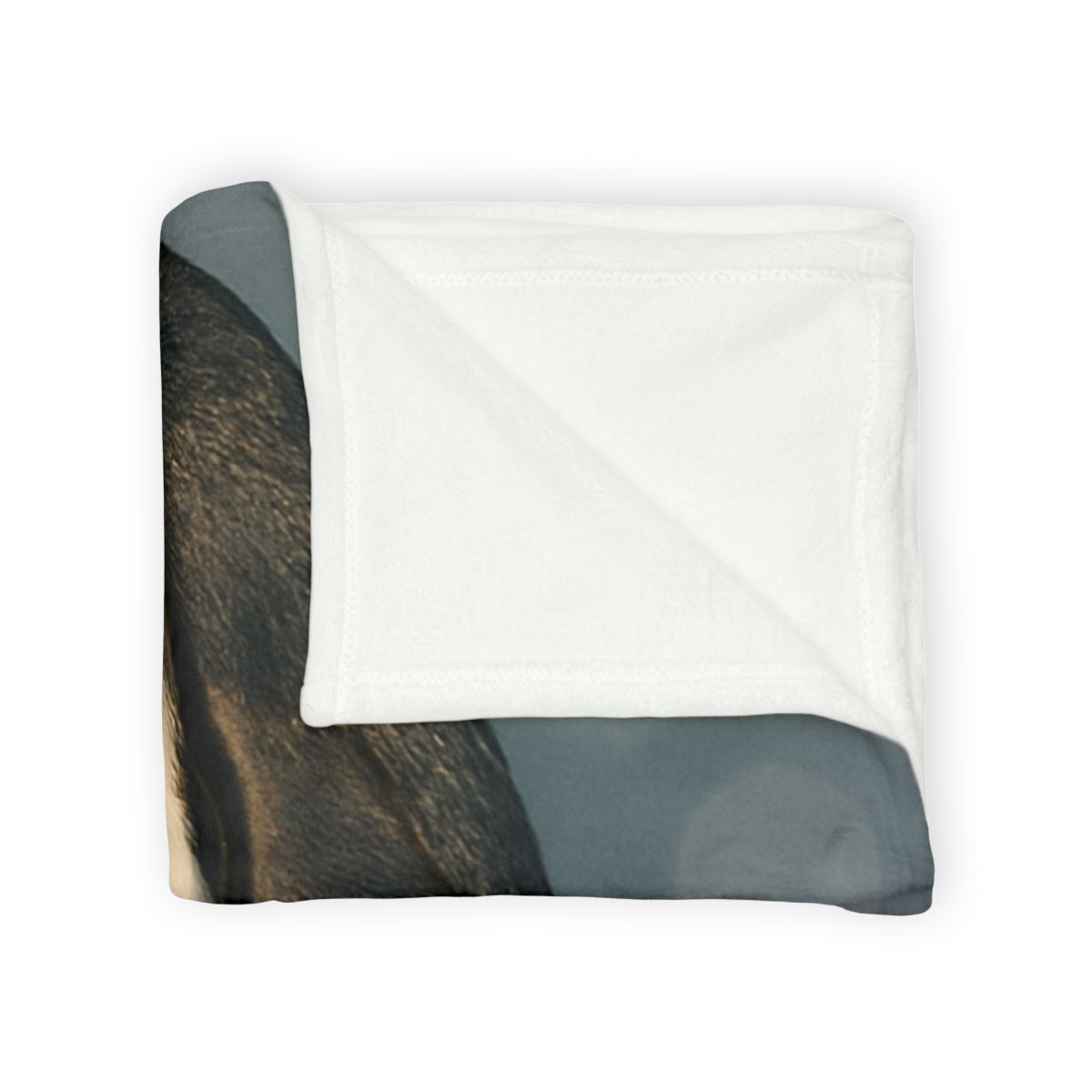 Velvet Eclipse Emperor Penguin custom blankets
