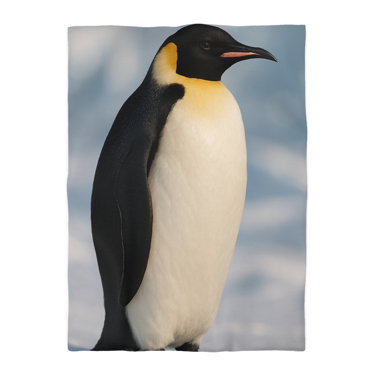 Aurora Drifter Emperor Penguin stylish duvet covers