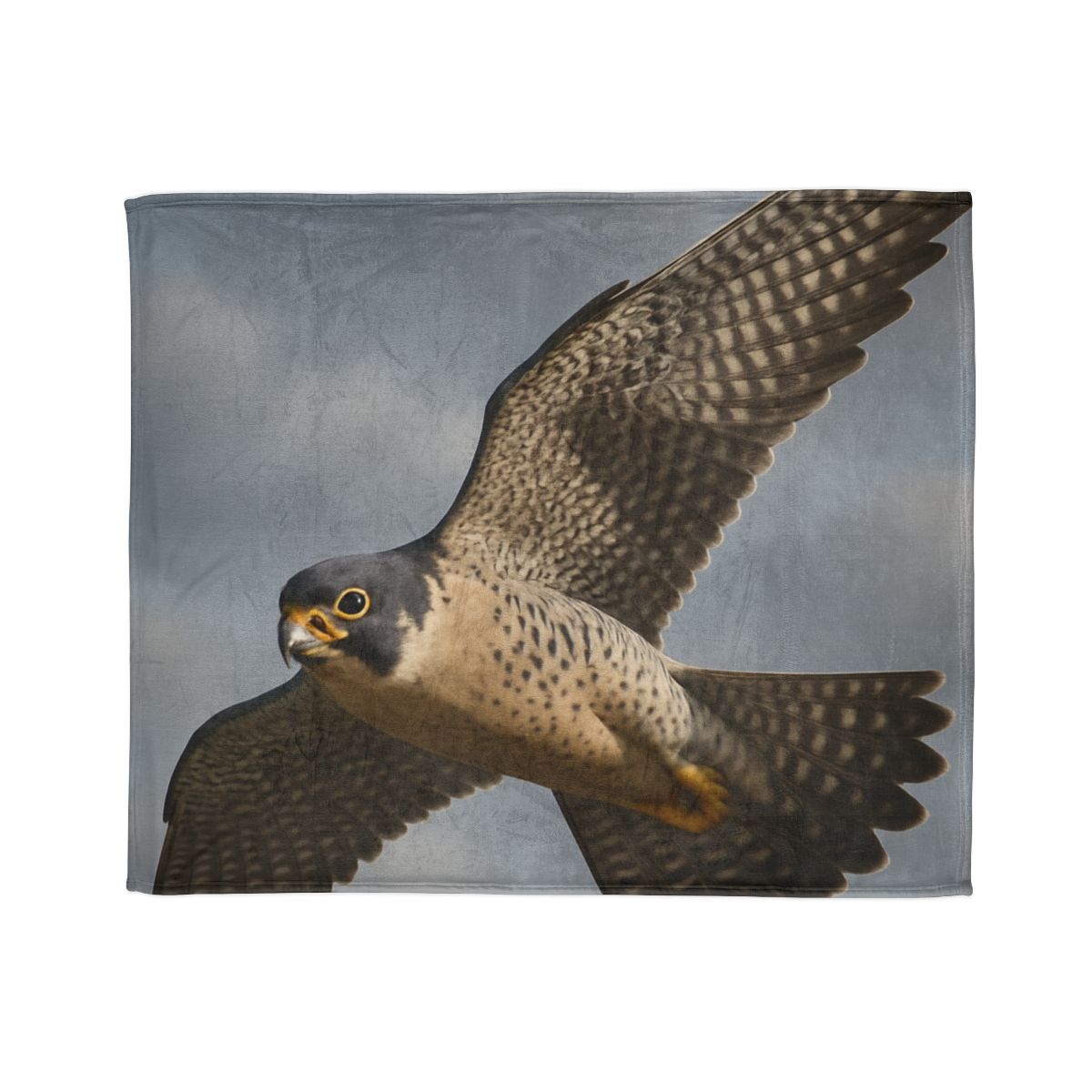 Sky Lance Peregrine Falcon decorative home blankets