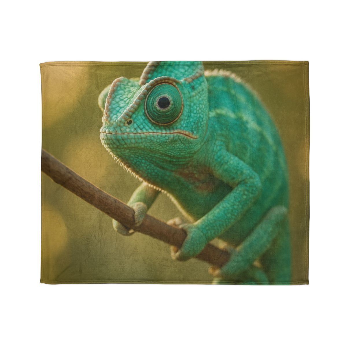 Prism Gaze Veiled Chameleon trendy patterned blankets