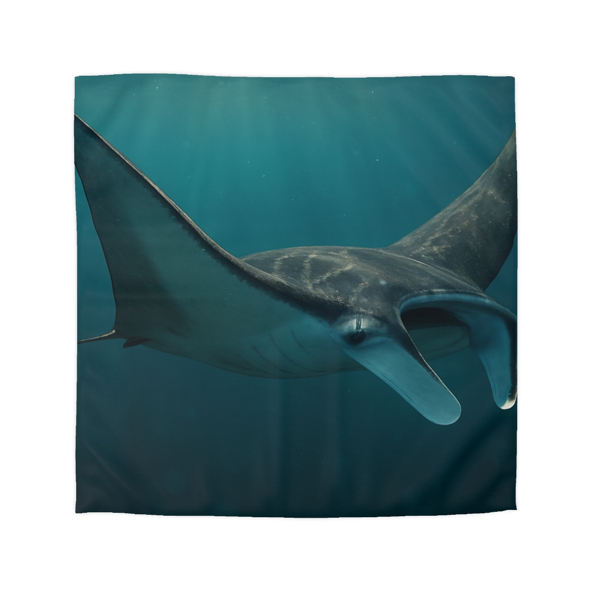 Starlit Drift Manta Ray custom duvets