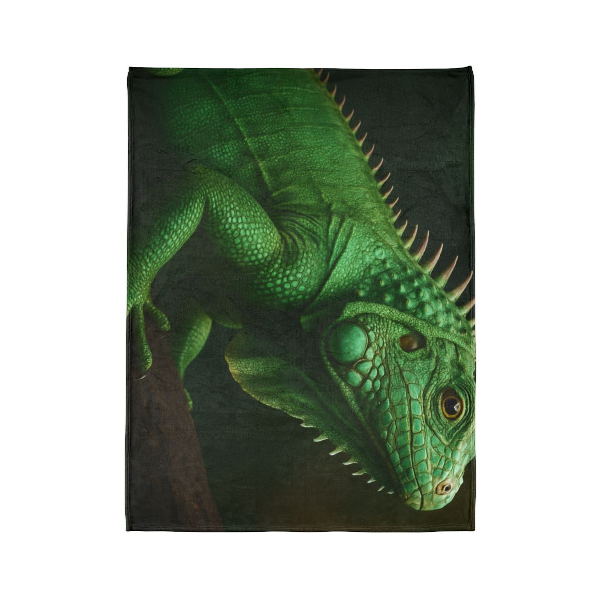 Mirror Glide Green Iguana decorative home blankets