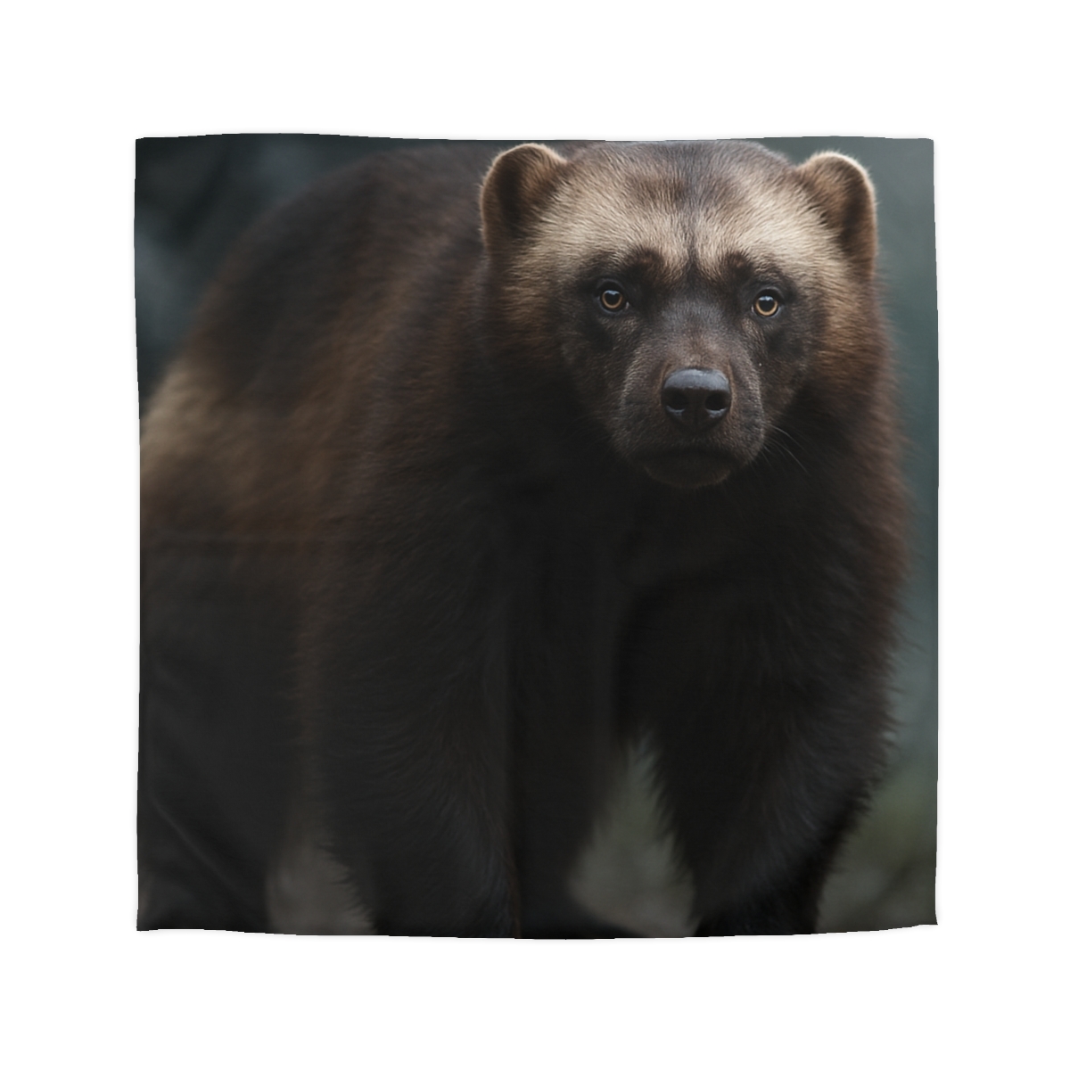 Velvet Shadow Wolverine designer printed duvets