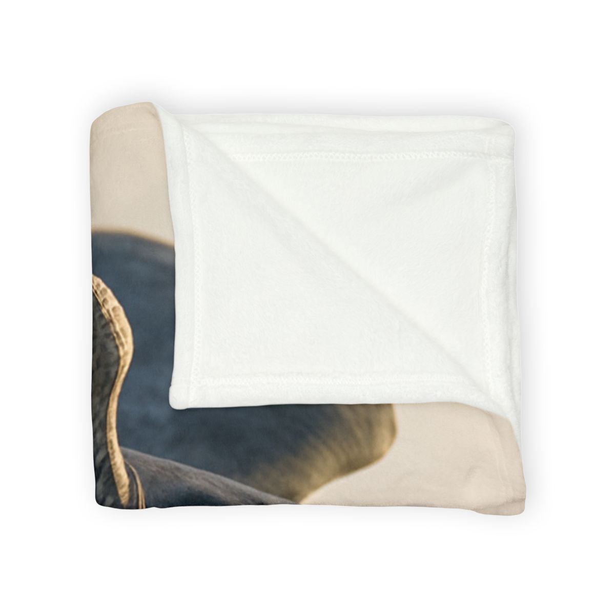 Sky Bolt Peregrine Falcon soft fleece blankets