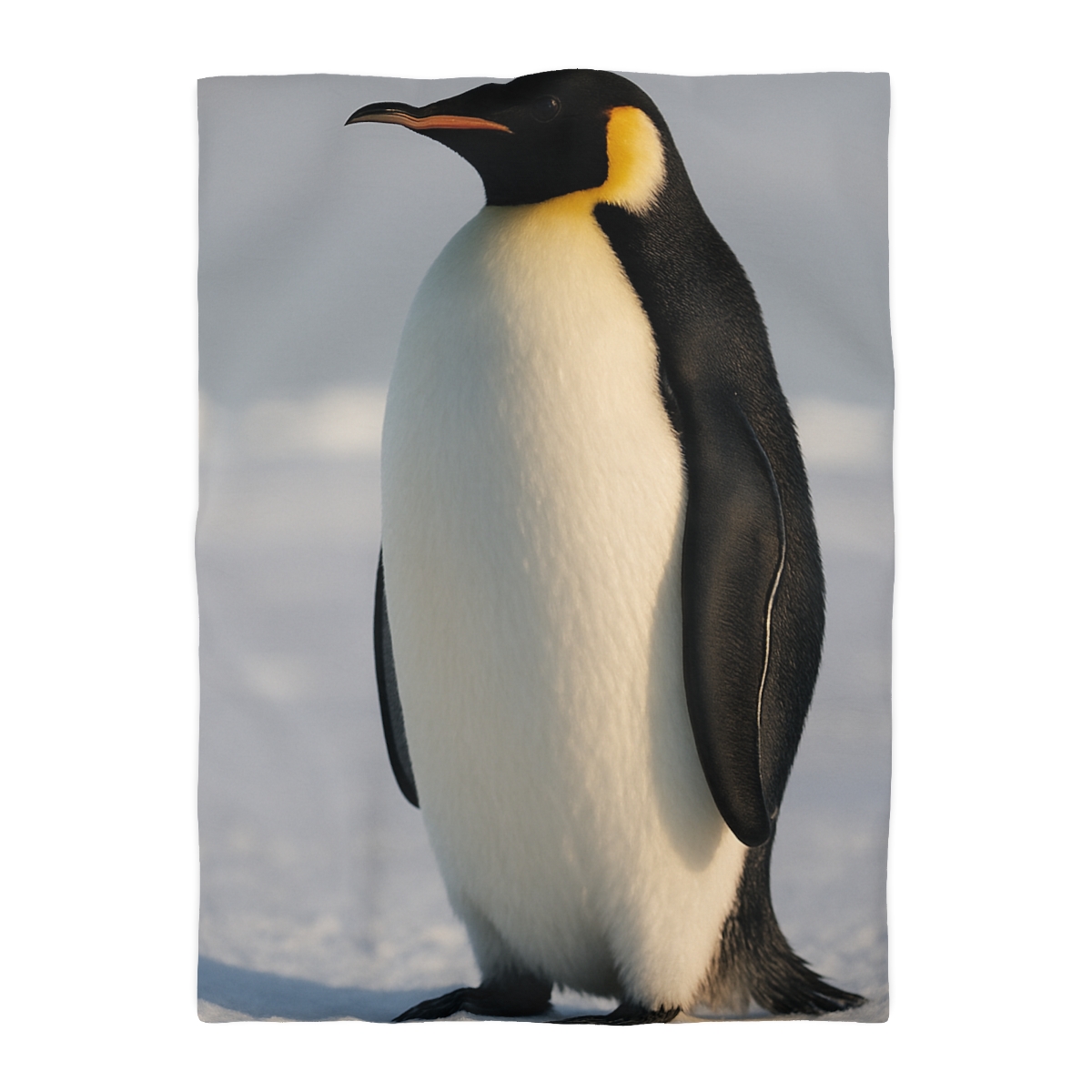 Aurora March Emperor Penguin stylish duvet covers