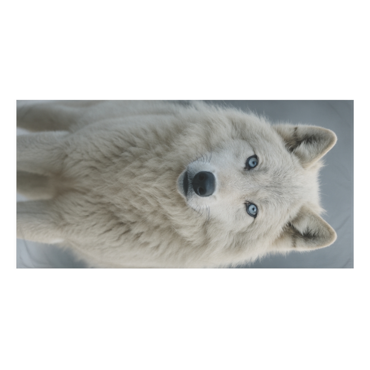 Frost Watcher Arctic Wolf decorative home towelscustom towels