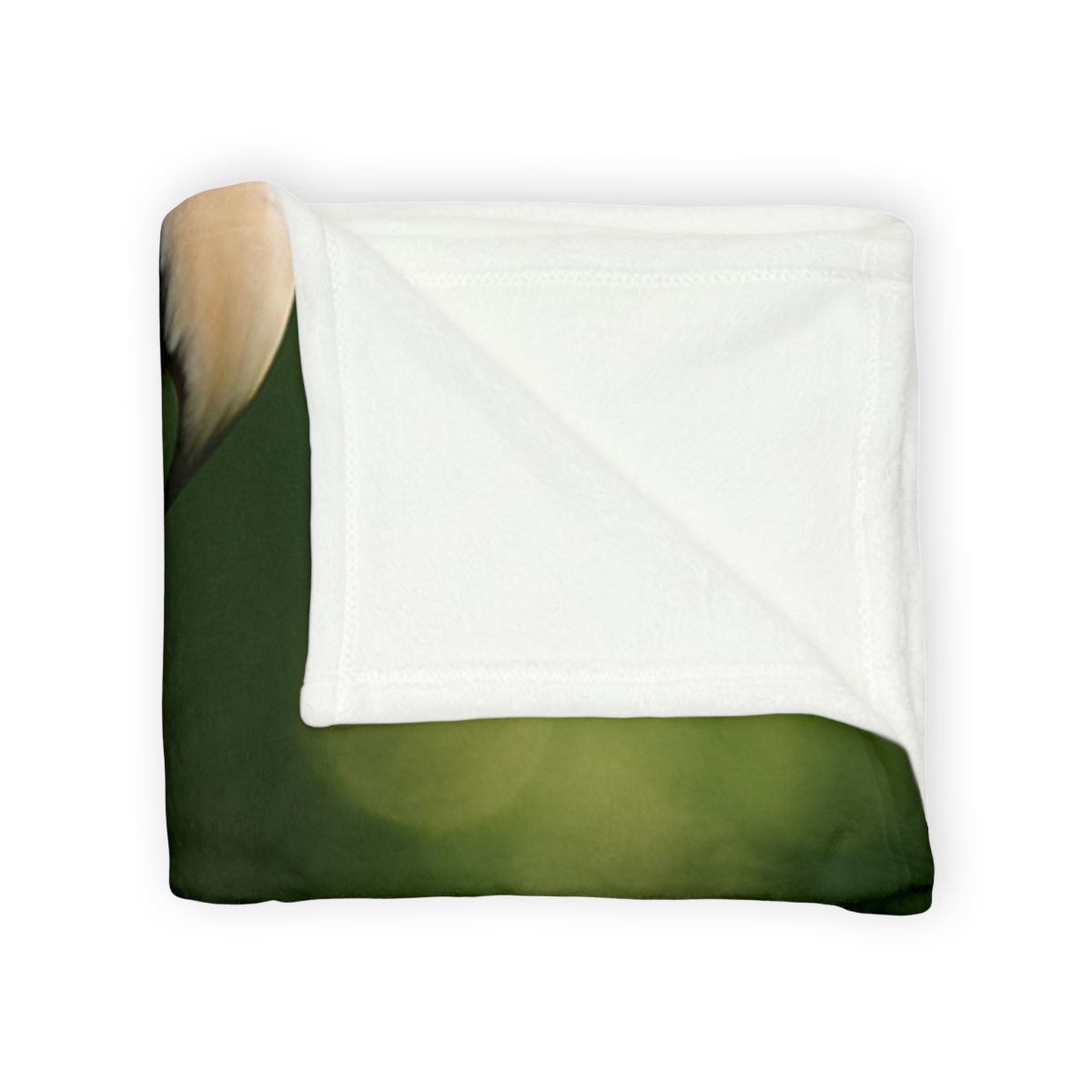 Canopy Flame Scarlet Macaw decorative home blankets